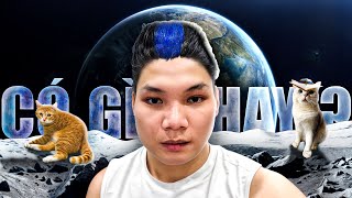 Stream Sangtraan Có Gì Hay? (Phần 16)