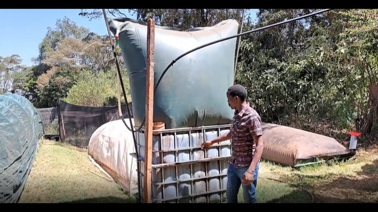How to Generate your own Biogas and Organic Fertiliser from Food waste and Farm Waste