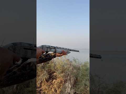 Up rang teal hunt but miss and like ❤️ and subscribe