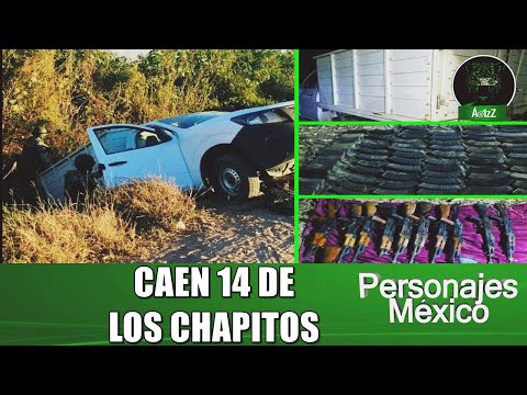 Detienen a 14 de Los Chapitos en la sindicatura de Costa Rica, Culiacán, Sinaloa