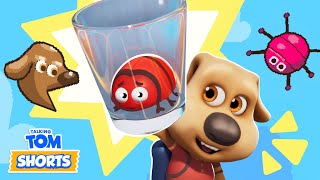 NEW EPISODE! Bug Off! (Nasty Little Bugs 3) 🪲 Talking Tom Shorts (S3 Episode 37)