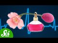 Understanding Blood Clotting and Coagulopathy