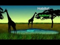 Ecosystem Concepts and Interactions