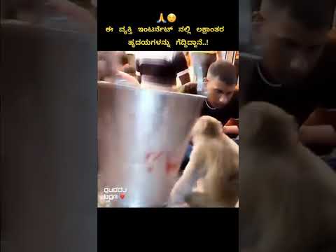 ದೇವತಾ  ಮನುಷ್ಯ #animals #animalslove #humanity #like #reels #trending #shorts #love #hearttouching