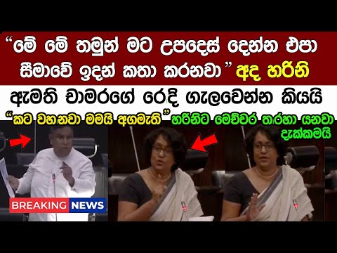 Breaking News 🔴අගමැති හරිනි ඇමති චාමරගේ ක|ට වැහෙන්නම සැ|රටම කියයි Harini Amarasuriya Today News