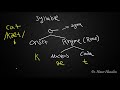 Syllable Structure and Syllabification