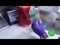 Hair Sample Preparation Techniques