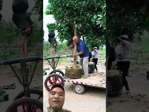 Chiếc Xe Xứng Đáng Với Giải Nobel #farming