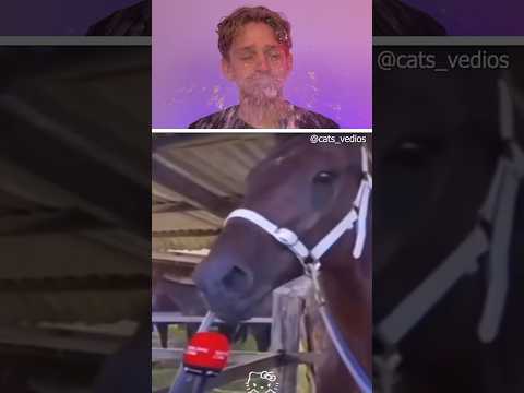 Funny Animals 😂🐴 | 59 #funny