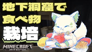 🎮【#minecraft 】地下生活、最高なライフ計画　-　①　-