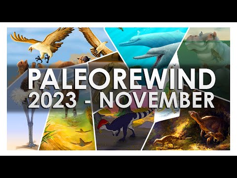 Why Are There So Many Fossil Birds? - PALEOREWIND 2023 - November