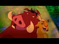 Hakuna Matata: A Journey of Carefree Living