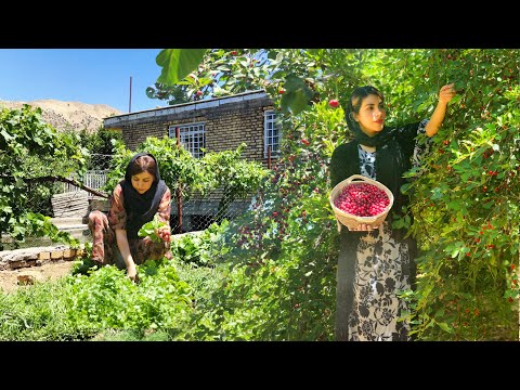 🌱VILLAGE LIFE IN IRAN: AMAZING COOKING & FRESH CHERRY RECIPES FROM THE GARDEN