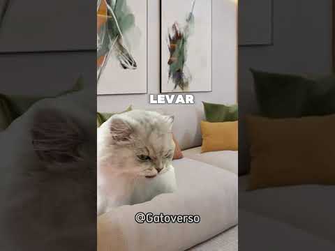 CONHECE ALGUÉM ASSIM? 🧐