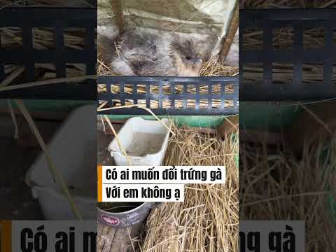 Đông đến rồi mn giữa ấm nhé