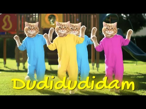 DUDI DUDI DAM DAM CAT