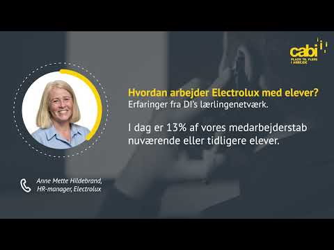 Hvordan arbejder Electrolux med elever? Erfaringer fra branchen: Interview med Anne Mette Hildebrand