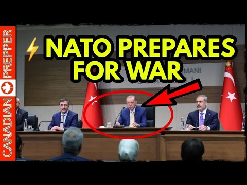 ⚡NATO ALERT: "COALITION OF THE WILLING", BELARUS AIRSPACE, SERBIA STOPS ARMS EXPORTS, WILDFIRES