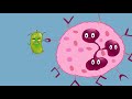 Fagocitosis y Células Dendríticas