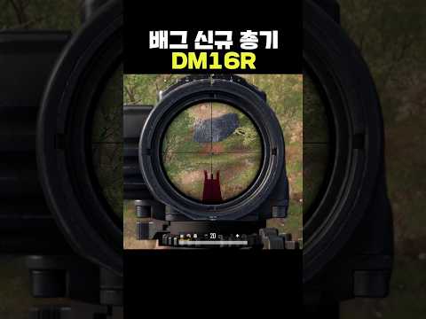 배그 신규 총기 DM16R