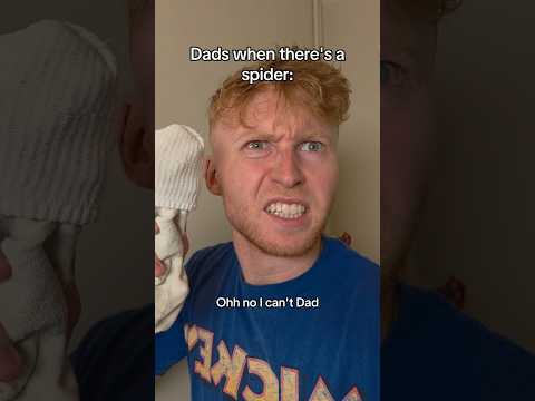 Dads When There's A Spider