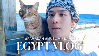 [🇪🇬이집트 여행VLOG] 낯선 나라에서 굶는다는 건 이런 느낌이었다…