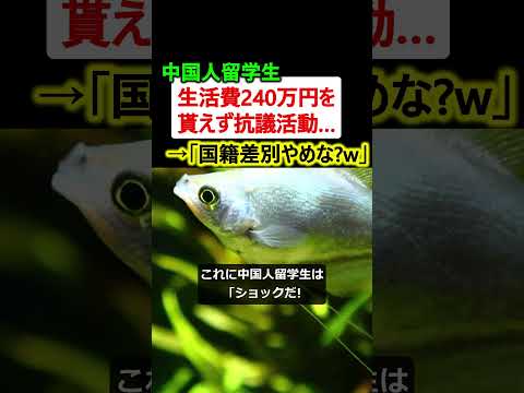 中国人留学生「国籍差別やめろw」→生活費240万円の支給中止に抗議活動…