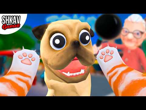 КОТ СБЕЖАЛ ОТ БАБКИ В ГОРОД! Cat in town VR!