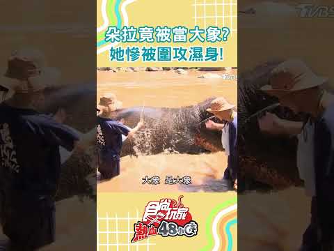 朵拉出國竟濕身?慘被當大象圍攻?