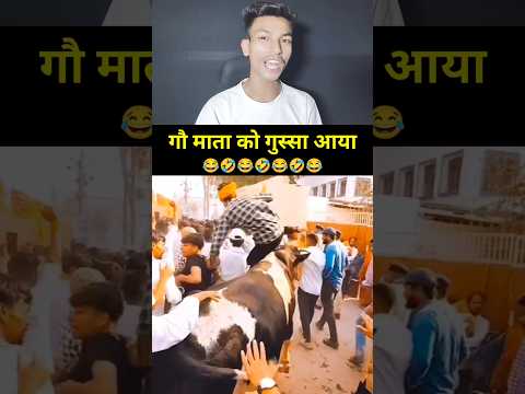 Gau Mata Ne Bhakt Ko Prasaad Diya Lekin Andh Bhakton Ko Yakeen Nahi Hogi.! #andhbhaktroast