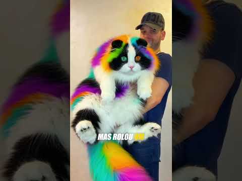 Gato Panda Mais RARO do Mundo! 👀