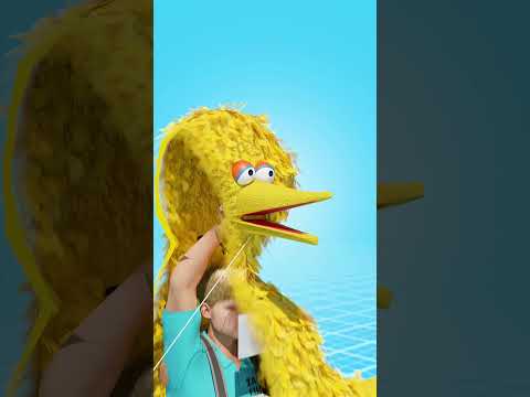 🕵️‍♂️🐦 Behind the Talking Bird 🎭 – A Show Like No Other!