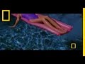 Understanding Seasons and Beach Formation