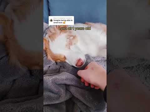 Imagine smelling love