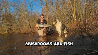 Mushrooms and Fish - The Unsuccessful Fishing Show - Episode 14