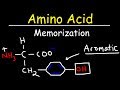 Amino Acids Properties and Characteristics