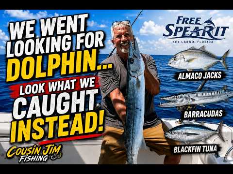 We went looking for dolphin… look what we caught instead! video thumbnail