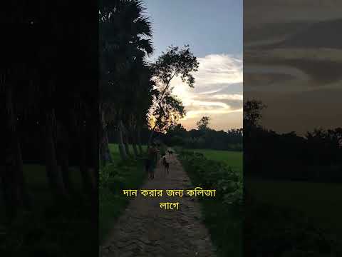 মনটা বড় করুন, আল্লাহ আপনাকে বড় করবেন। #shorts #islamicshorts #waz #abutohamohammadadnan