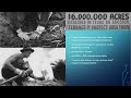 Dust Bowl Causes and Consequences