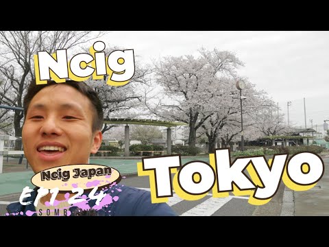 Ncig Tokyo EP1|| Saib Paj Sakura