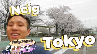 Ncig Tokyo EP1|| Saib Paj Sakura