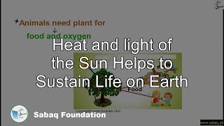 Heat and light of the Sun helps to sustain life on Earth