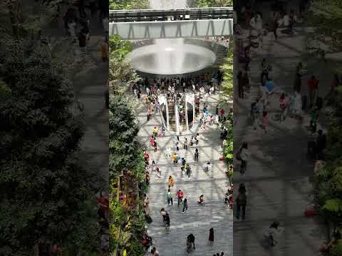 Mesmerized by the HSBC Rain Vortex: A Journey into a Tropical Oasis