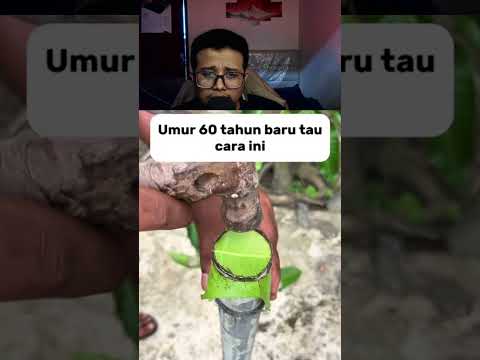 KALIAN PASTI BARU TAU JUGA KAN ? 🗿#meme #memes #reactionmeme #funny #funnyvideo #funnyshorts #fun