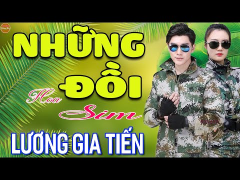 Những Đồi Hoa Sim - 363 Bài Rumba Nhạc Lính Hải Ngoại Bất Hủ Vượt Thời Gian HAY NHẤT MỌI THỜI ĐẠI