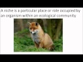 Ecological Relationships and Competition