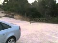 senmove