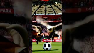 #SGEKOE Was für ein Spiel 🤪⚽️🐐❤️🤍🔥 @fckoeln #Effzeh