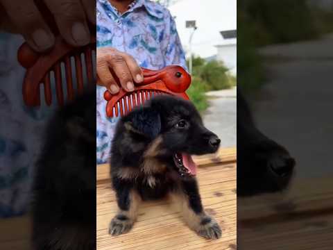 😭 La abuela estaba llorando… y luego su nieto hizo algo increíble! ❤️ #shorts