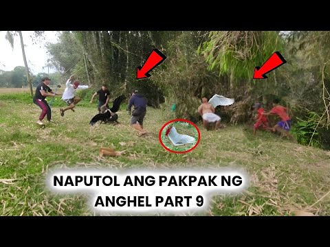NAGSIMULA NA ANG DIGMAAN SA KAGUBATAN• GRABE! SUMABOG AT PINUTOL PA ANG PAKPAK NG FALLEN ANGEL PART9